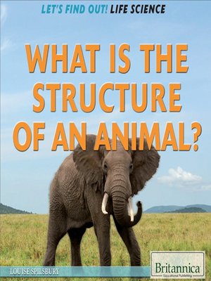 cover image of What Is the Structure of an Animal?